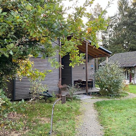 Modernes Tinyhouse Trailer Cabins Am Waldrand - Mit Seezugang Eging Exterior foto